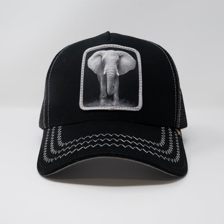 elephant trucker hat cap  