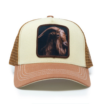 goldstarhat
