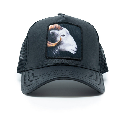 goldstarhat