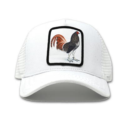 goldstarhat
