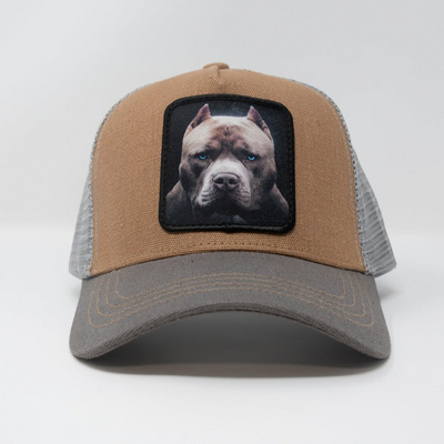 goldstarhat
