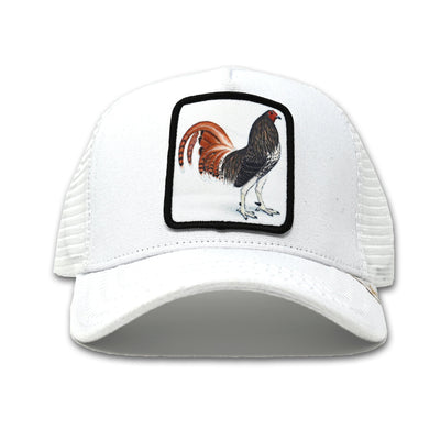 goldstarhat