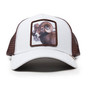 GOLD STAR HAT - Goat White/Brown trucker hat