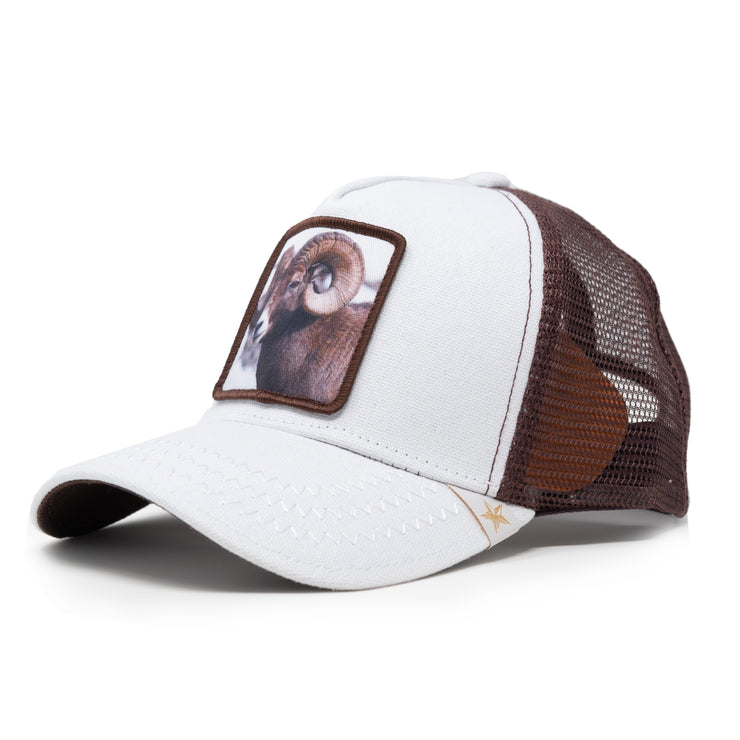 GOLD STAR HAT - Goat White/Brown trucker hat