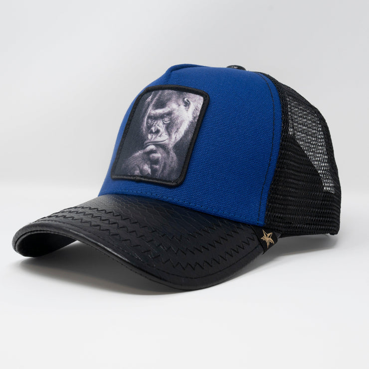 Gold Star Hat - Royal blue ape Trucker Hat